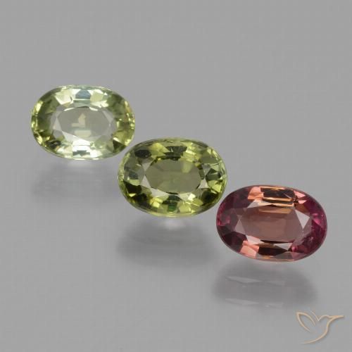 Gemas de Turmalina Multicolor natural de 2.60 ct, Ovalada, VS
