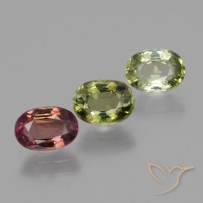 Gemas de Turmalina Multicolor natural de 2.60 ct, Ovalada, VS