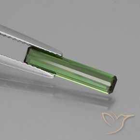 Turmalina Verde oscuro natural de 1.01 ct, Corte Octágono / Esmeralda, VS