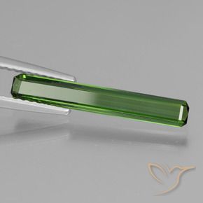 Turmalina Verde bosque natural de 1.12 ct, Corte Octágono / Esmeralda, VS