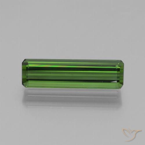 1.39ct Natural Verde bosque turmalina, corte esmeralda, VVS