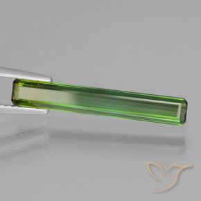Turmalina Verde medio natural de 1.47 ct, Corte Octágono / Esmeralda, VVS