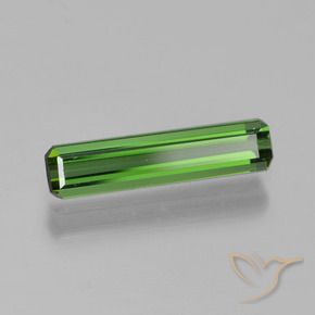 Turmalina Verde bosque natural de 0.75 ct, Corte Octágono / Esmeralda, VVS