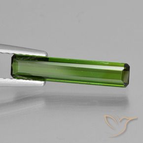 Turmalina Verde oscuro natural de 1.07 ct, Corte Octágono / Esmeralda, VVS-VS