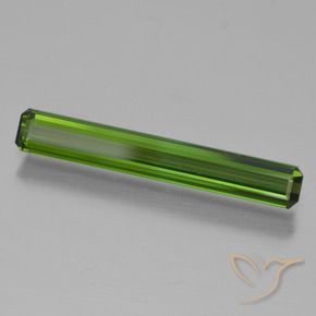 Turmalina Verde bosque natural de 1.33 ct, Corte Octágono / Esmeralda, VVS-VS