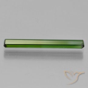 Turmalina Verde bosque natural de 1.33 ct, Corte Octágono / Esmeralda, VVS-VS