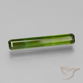 Turmalina Verde alga natural de 2.47 ct, Corte Octágono / Esmeralda, VVS