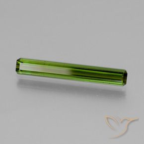 Turmalina Verde alga natural de 1.69 ct, Corte Octágono / Esmeralda, VVS-VS