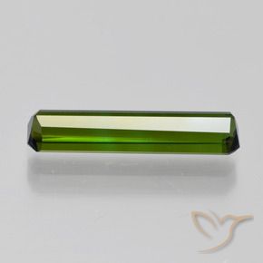Turmalina Verde oscuro natural de 1.82 ct, Corte Octágono / Esmeralda, VVS