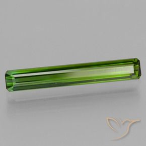 Turmalina Verde oscuro natural de 1.72 ct, Corte Octágono / Esmeralda, VVS-VS