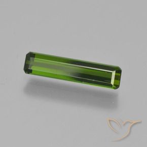 Turmalina Verde bosque natural de 0.91 ct, Corte Octágono / Esmeralda, VVS