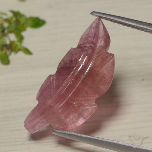 7.02ct Natural Bicolor turmalina, Elegante, Translúcido