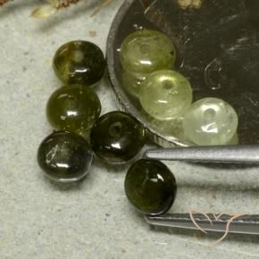 Gemas de Turmalina Verde bosque natural de 3.30 ct, Elegante, Translúcido