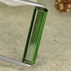 Turmalina Verde bosque natural de 1.47 ct, Corte Octágono / Esmeralda, VVS