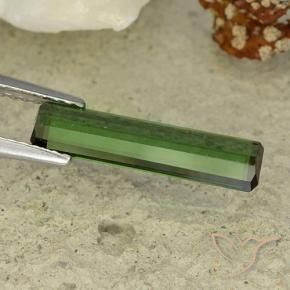 Turmalina Verde bosque natural de 1.47 ct, Corte Octágono / Esmeralda, VVS