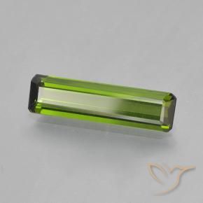 Turmalina Verde alga natural de 1.45 ct, Corte Octágono / Esmeralda, VVS-VS