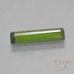 Turmalina Verde alga natural de 1.45 ct, Corte Octágono / Esmeralda, VVS-VS