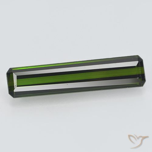 2.35ct Natural Verde bosque intenso Turmalina, Corte Octágono / Esmeralda, VVS-VS, Photo A