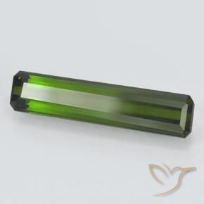 Turmalina Verde bosque intenso natural de 2.35 ct, Corte Octágono / Esmeralda, VVS-VS