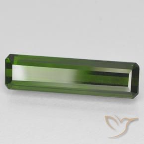 Turmalina Verde oscuro natural de 3.42 ct, Corte Octágono / Esmeralda, VVS