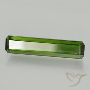 Turmalina Verde oscuro natural de 2.02 ct, Corte Octágono / Esmeralda, VVS-VS
