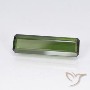 Turmalina Verde alga natural de 2.55 ct, Corte Octágono / Esmeralda, VVS-VS