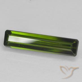 Turmalina Verde oscuro natural de 1.54 ct, Corte Octágono / Esmeralda, VVS-VS