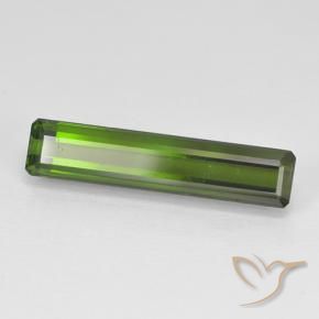 Turmalina Verde oscuro natural de 2.47 ct, Corte Octágono / Esmeralda, VVS-VS