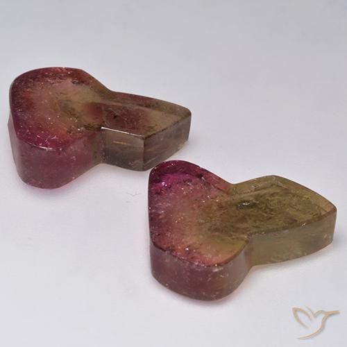 Gemas de Turmalina Bicolor natural de 33.04 ct, Elegante, Transparente
