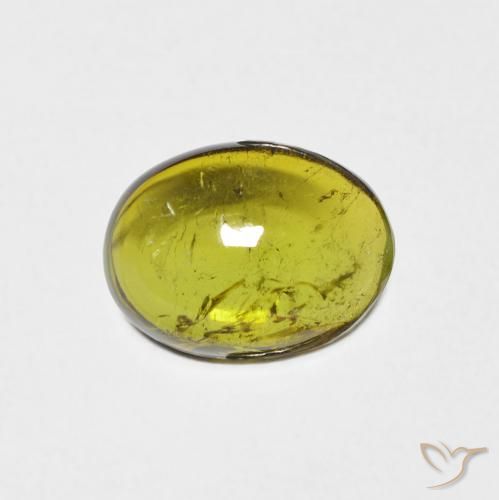 1.34ct Natural Verde bosque turmalina, Ovalada, Transparente