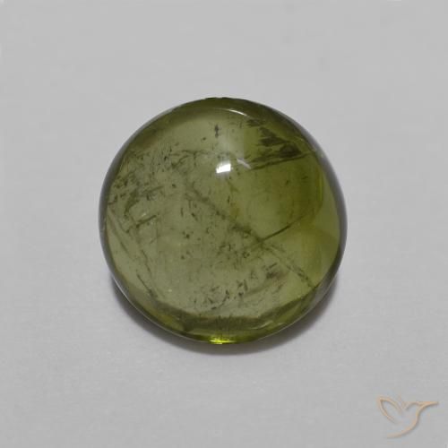 1.53ct Natural Verde bosque Turmalina, Redondo, Transparente
