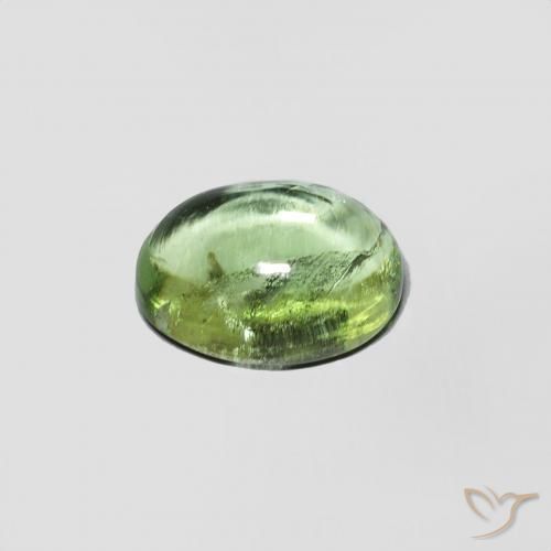 Turmalina Verde cálido natural de 1.44 ct, Ovalada, Transparente