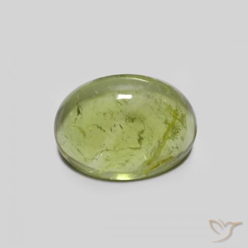 1.44ct Natural Verde Oliva Turmalina, Ovalada, Transparente