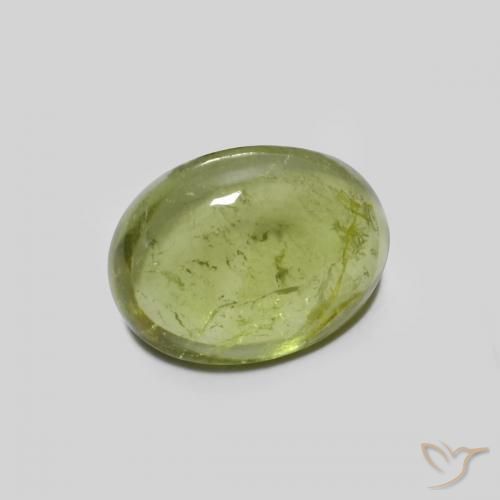Turmalina Verde Oliva natural de 1.44 ct, Ovalada, Transparente