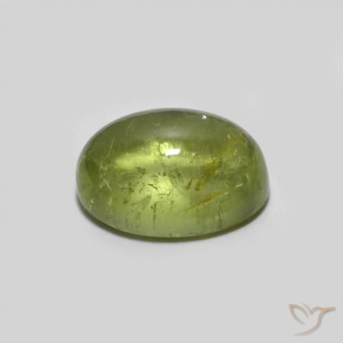 Turmalina Verde Oliva natural de 1.44 ct, Ovalada, Transparente
