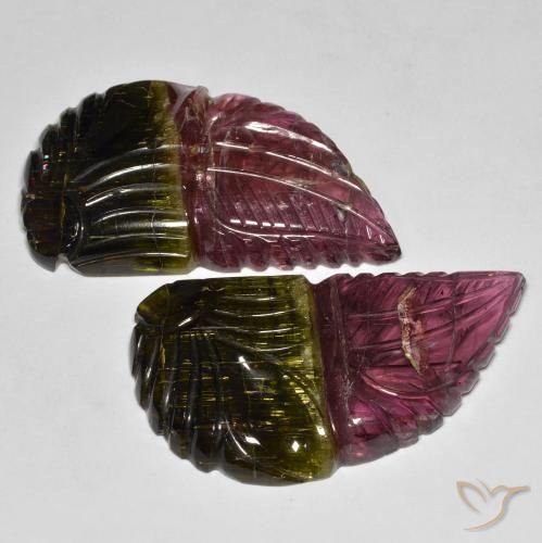 Gemas de Turmalina Bicolor natural de 82.79 ct, Elegante, Translúcido
