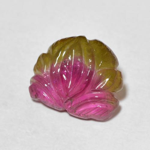 Turmalina Bicolor natural de 3.93 ct, Elegante, Transparente