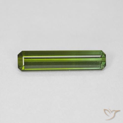 1.47ct Natural Verde bosque Turmalina, corte esmeralda, VVS
