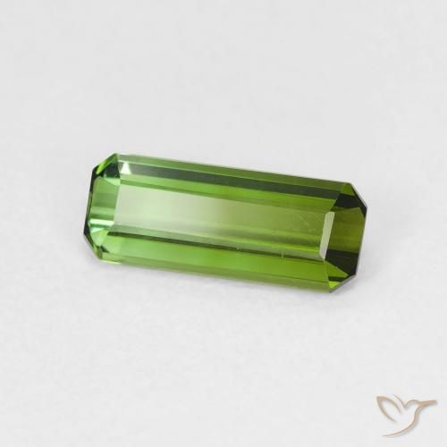 Turmalina Verde bosque natural de 0.88 ct, Corte Octágono / Esmeralda, VVS-VS