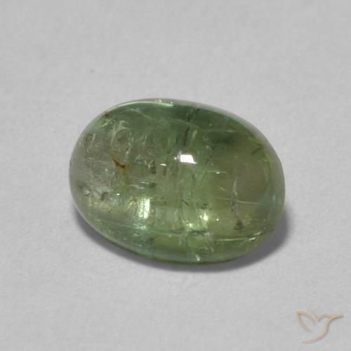 Turmalina Verde medio natural de 1.52 ct, Ovalada, Transparente