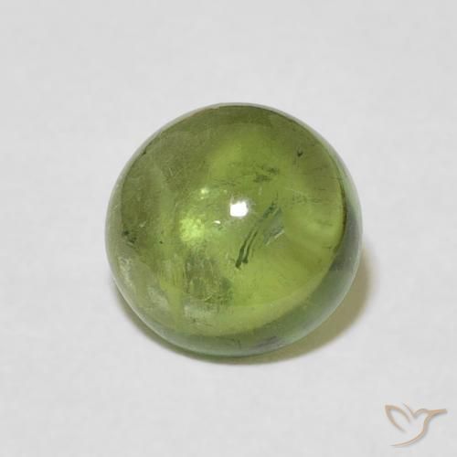 Turmalina Verde bosque claro natural de 1.57 ct, Redondo, Transparente