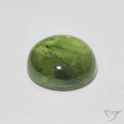 Turmalina Verde bosque claro natural de 1.57 ct, Redondo, Transparente