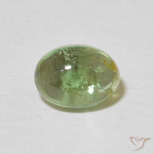 1.51ct Natural Verde medio turmalina, Ovalada, Transparente