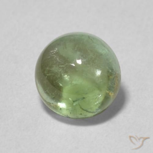 Turmalina Verde grisáceo natural de 1.35 ct, Redondo, Transparente