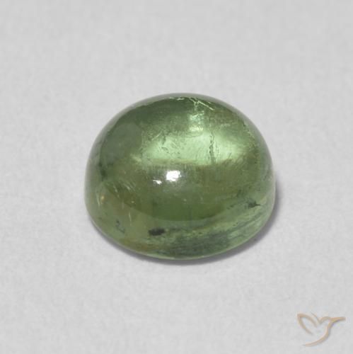 Turmalina Verde grisáceo natural de 1.35 ct, Redondo, Transparente