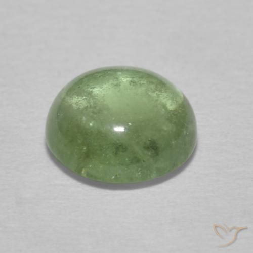 Turmalina Verde terroso pálido natural de 1.49 ct, Redondo, Transparente