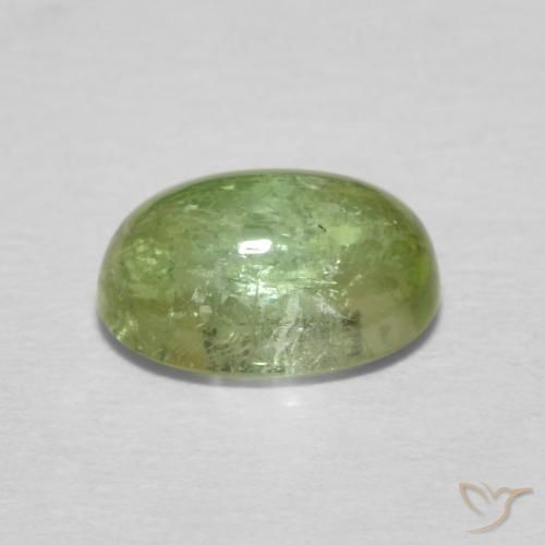 Turmalina Verde amarillento natural de 1.55 ct, Ovalada, Transparente