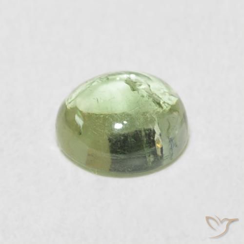 Turmalina Verde Oliva natural de 0.96 ct, Redondo, Transparente