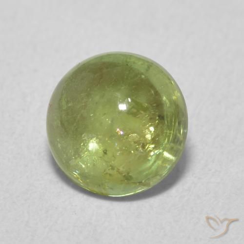 Turmalina Verde Oliva natural de 1.61 ct, Redondo, Transparente