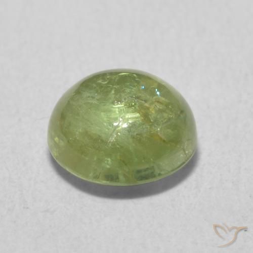 Turmalina Verde Oliva natural de 1.61 ct, Redondo, Transparente
